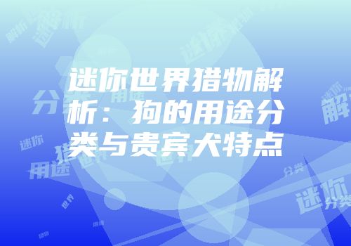 迷你世界猎物解析：狗的用途分类与贵宾犬特点