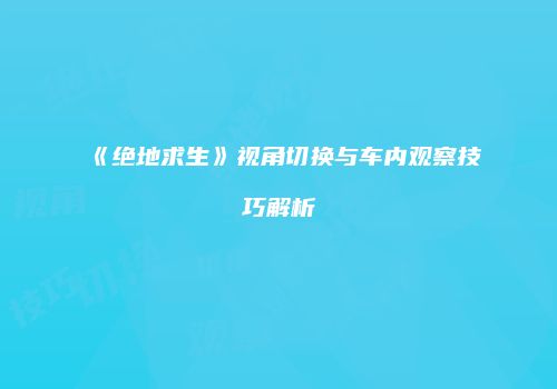 《绝地求生》视角切换与车内观察技巧解析