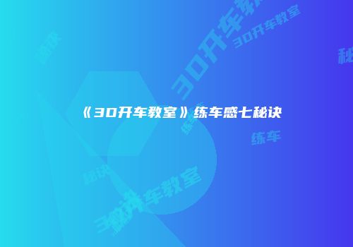 《3D开车教室》练车感七秘诀