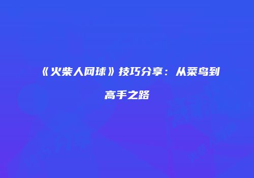《火柴人网球》技巧分享：从菜鸟到高手之路