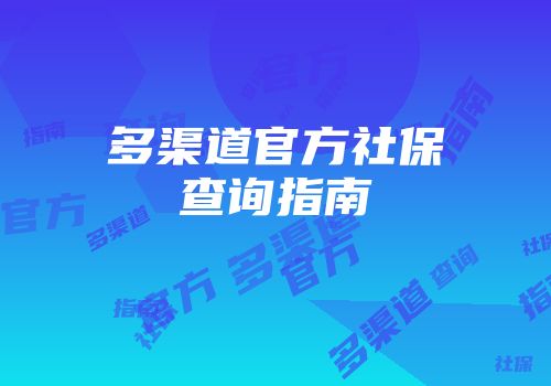 多渠道官方社保查询指南