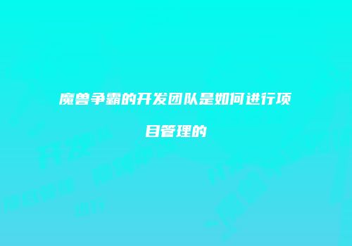 魔兽争霸的开发团队是如何进行项目管理的
