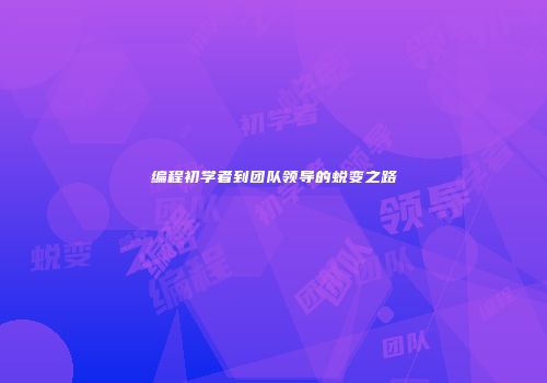 编程初学者到团队领导的蜕变之路