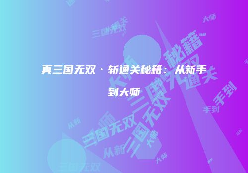 真三国无双·斩通关秘籍：从新手到大师