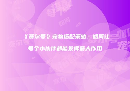 《赛尔号》宠物搭配策略：如何让每个小伙伴都能发挥最大作用