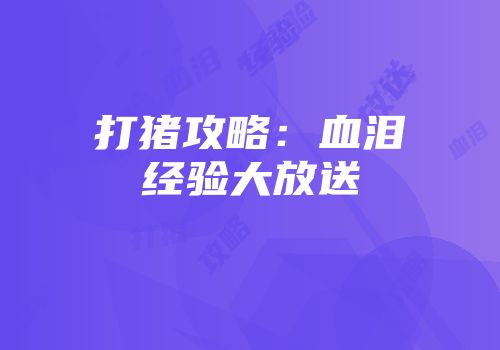 打猪攻略：血泪经验大放送