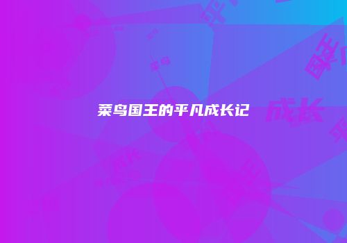 菜鸟国王的平凡成长记