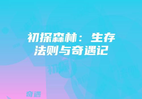 初探森林：生存法则与奇遇记
