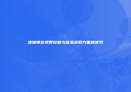 地铺师在视野控制与信息获取方面的优势