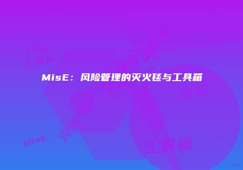 MisE：风险管理的灭火毯与工具箱