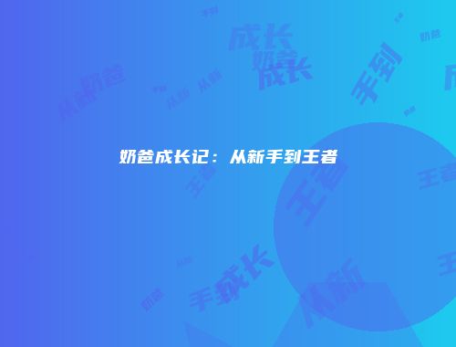 奶爸成长记：从新手到王者