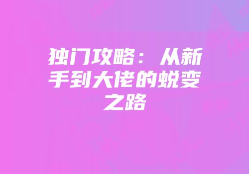 独门攻略：从新手到大佬的蜕变之路