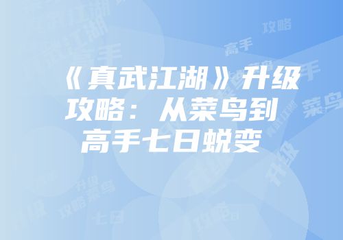 《真武江湖》升级攻略：从菜鸟到高手七日蜕变