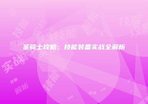 圣骑士攻略：技能装备实战全解析