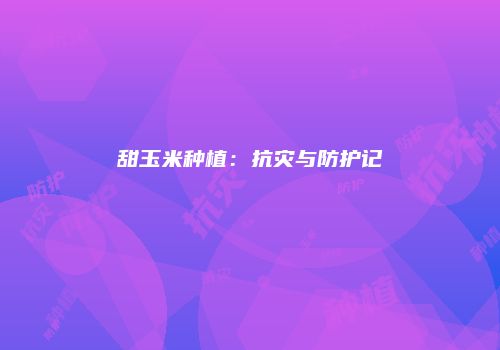 甜玉米种植：抗灾与防护记