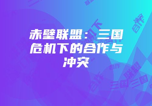 赤壁联盟：三国危机下的合作与冲突