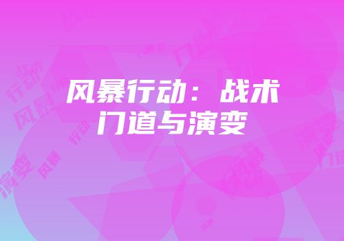 风暴行动：战术门道与演变