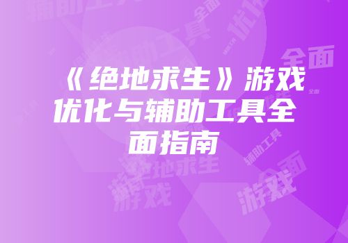 《绝地求生》游戏优化与辅助工具全面指南