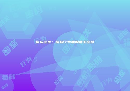 猫与密室：猫咪行为里的通关密码