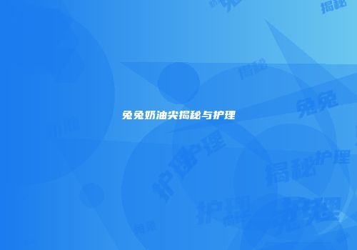 兔兔奶油尖揭秘与护理