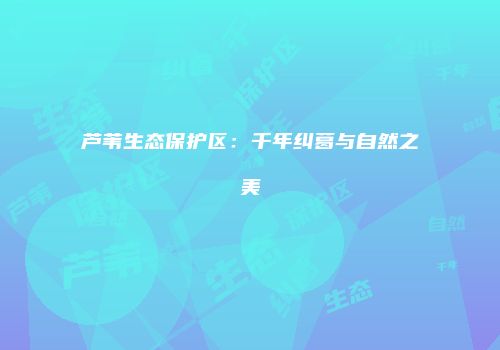 芦苇生态保护区：千年纠葛与自然之美