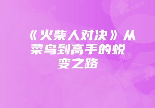 《火柴人对决》从菜鸟到高手的蜕变之路