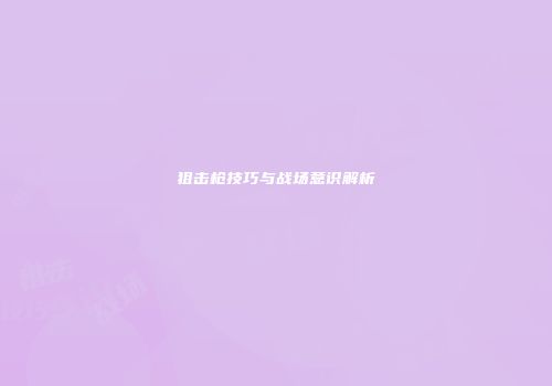 狙击枪技巧与战场意识解析