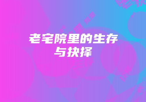 老宅院里的生存与抉择