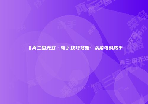 《真三国无双·斩》技巧攻略：从菜鸟到高手