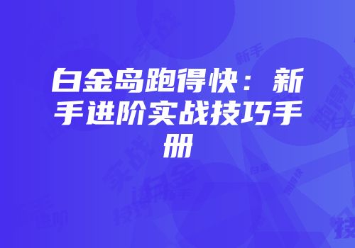 白金岛跑得快：新手进阶实战技巧手册