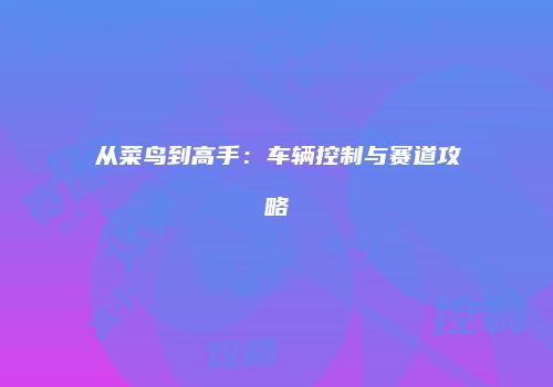 从菜鸟到高手：车辆控制与赛道攻略