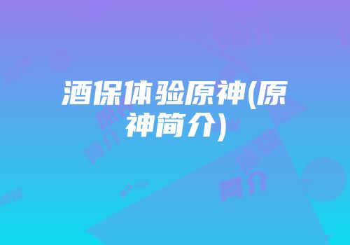 酒保体验原神(原神简介)
