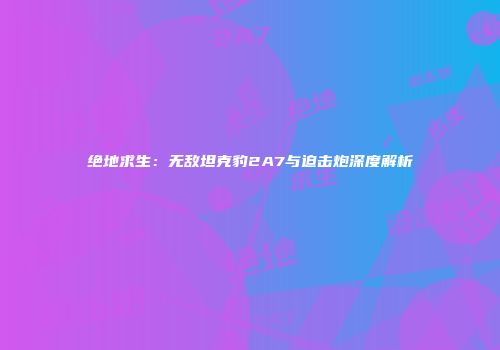 绝地求生：无敌坦克豹2A7与迫击炮深度解析