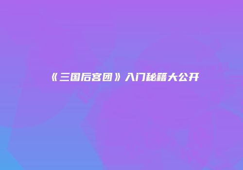 《三国后宫团》入门秘籍大公开