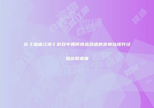在《热血江湖》游戏中如何挑选合适的宠物以提升经验获取速度