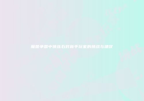 魔兽争霸中侠练石对新手玩家的挑战与建议