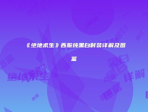 《绝地求生》西服纯黑白时装详解及图鉴