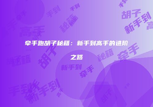 牵手跑胡子秘籍：新手到高手的进阶之路
