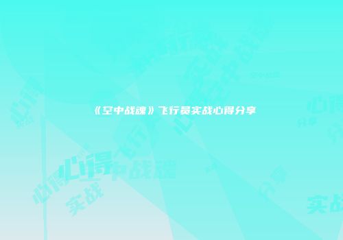 《空中战魂》飞行员实战心得分享