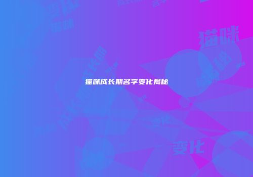 猫咪成长期名字变化揭秘