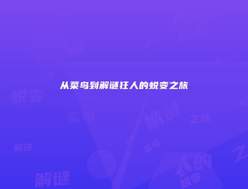 从菜鸟到解谜狂人的蜕变之旅