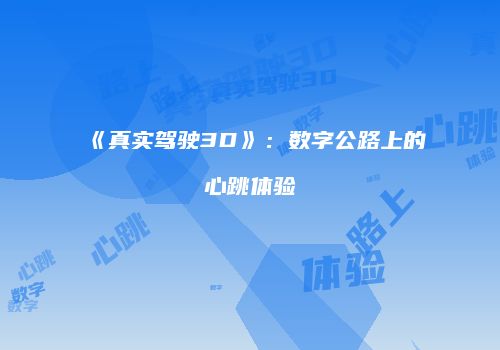 《真实驾驶3D》：数字公路上的心跳体验