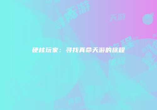 硬核玩家：寻找真命天游的旅程