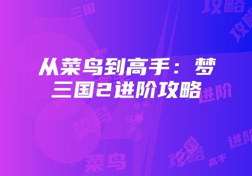 从菜鸟到高手：梦三国2进阶攻略