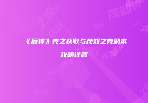 《原神》壳之获取与茂知之壳副本攻略详解
