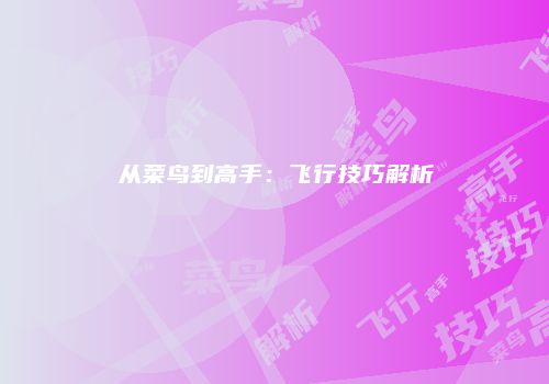 从菜鸟到高手：飞行技巧解析