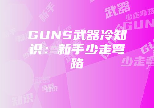 GUNS武器冷知识：新手少走弯路