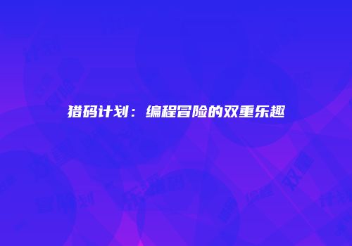 猎码计划：编程冒险的双重乐趣