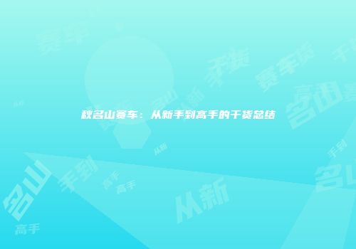 秋名山赛车：从新手到高手的干货总结