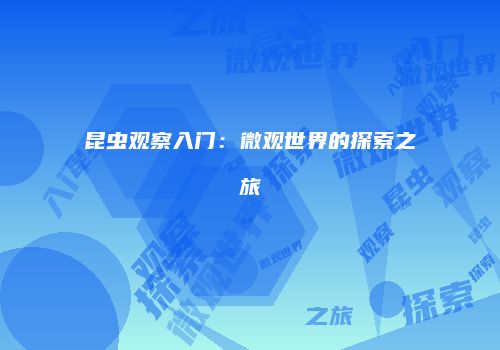 昆虫观察入门：微观世界的探索之旅